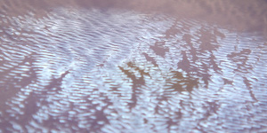 vers-une-image-sonorey